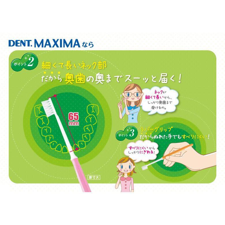 歯ブラシ DENT MAXIMA マキシマ 4色アソート 4本入り メール便可 3