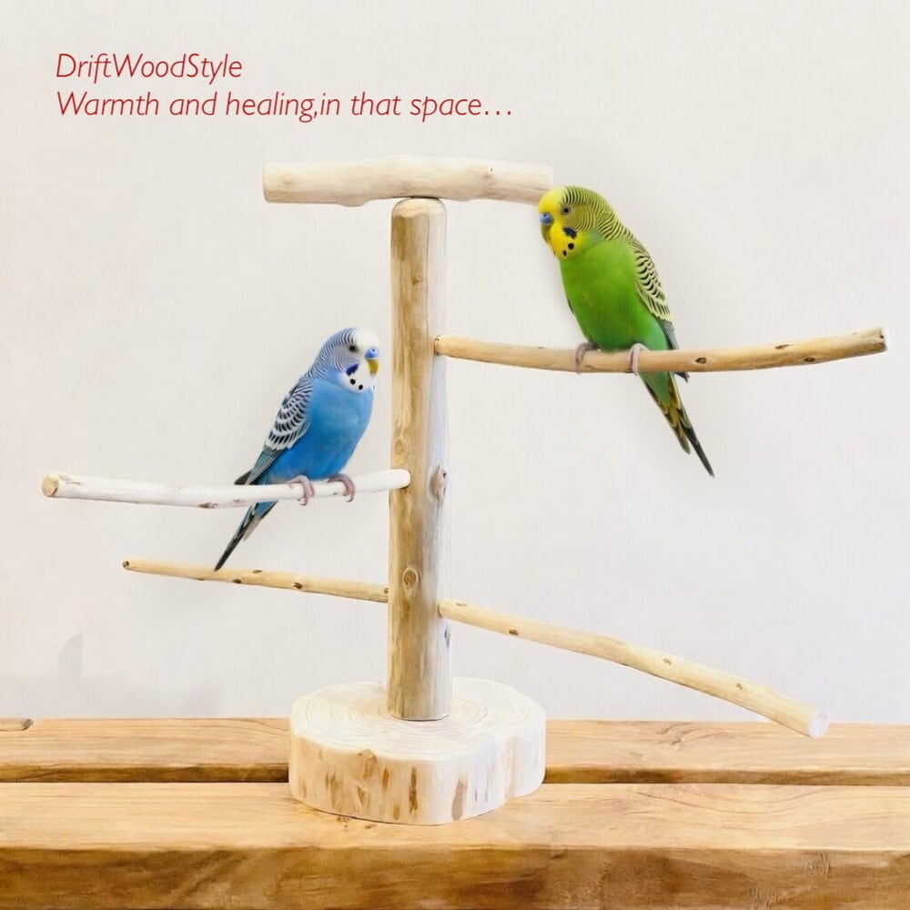 流木 インテリア約 170cm 木製台座付　driftwood interior 流木 インテリア約 170cm 木製台座付 driftwood interior 流木