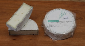 【今シーズン終了】山羊白カビチーズ：TSUKINOWA Spec-R（ツキノワ・スペックアール）