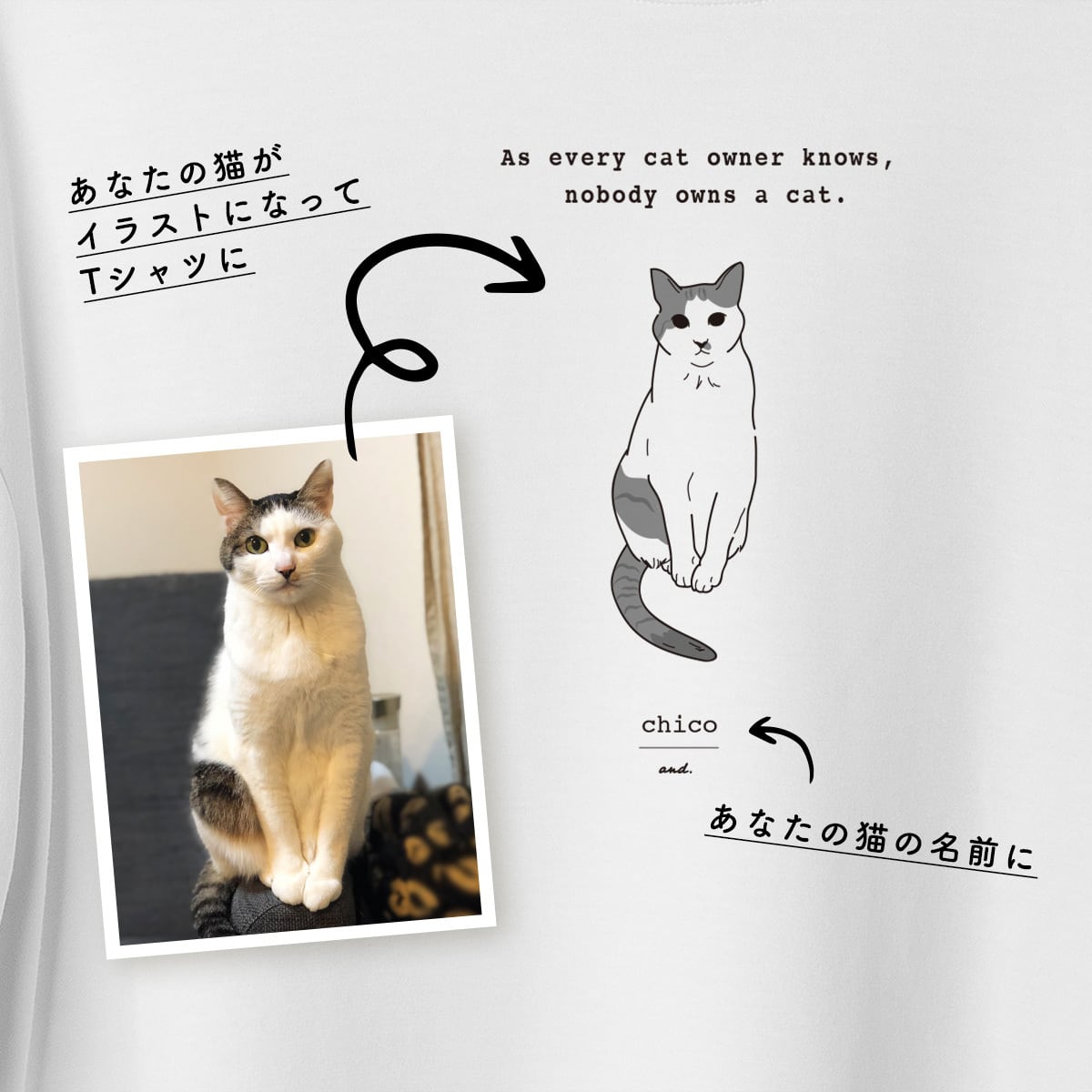 オリジナル猫イラストTシャツ（ホワイト） | 猫を飼ってる人のための猫