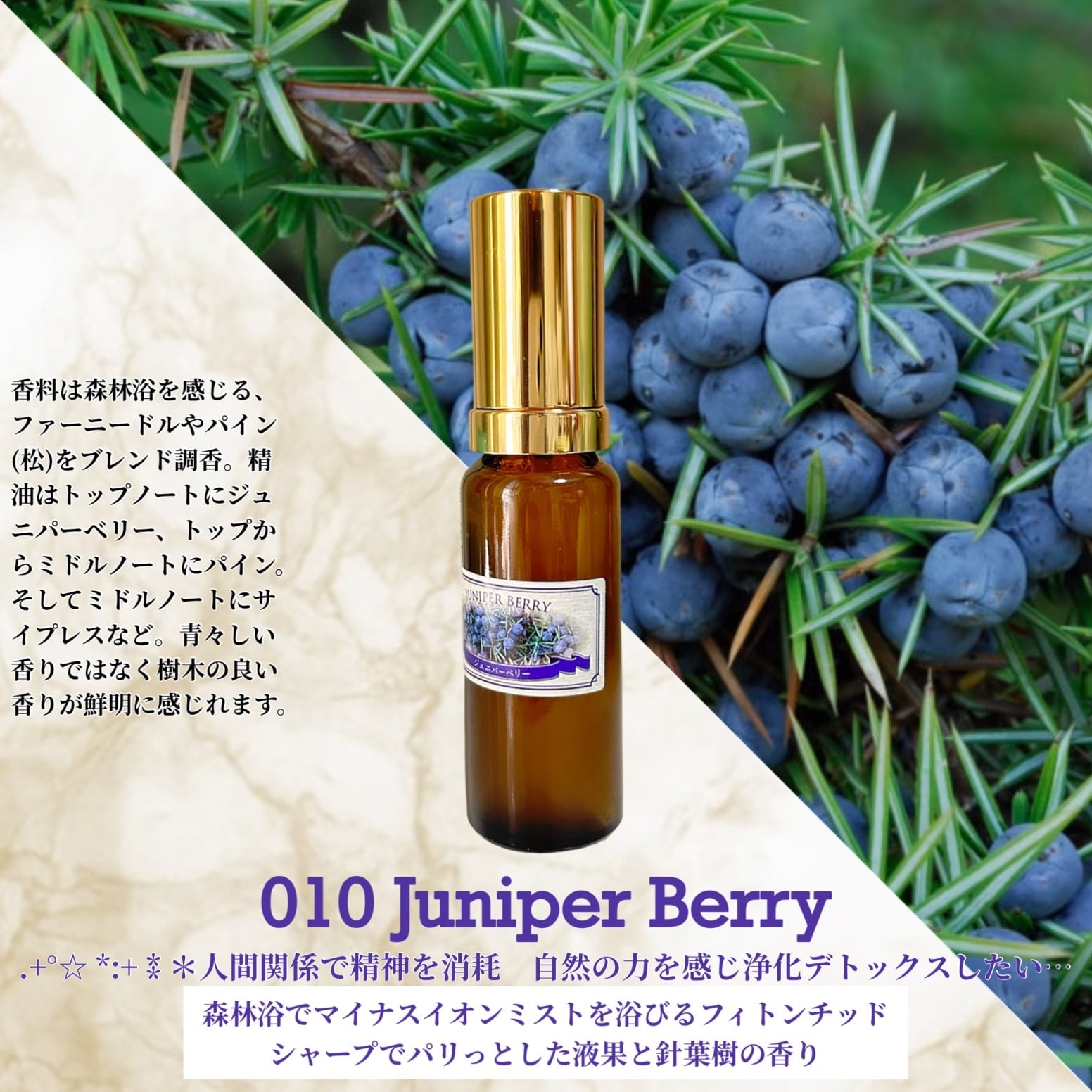 ：ジュニパーベリー /Juniper Berry ＊香り詳細と商品紹介