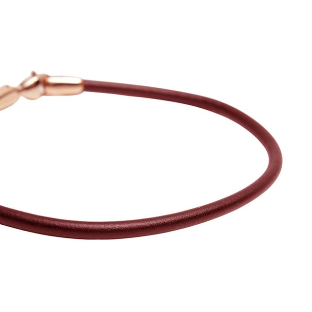 ダニエルウェリントン DANIEL WELLINGTON Leather Bracelet 2.8 St Mawes RG 195mm ブレスレット DW00400721 レディース メンズ ローズゴールド ブラウン