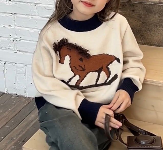 horse color knit