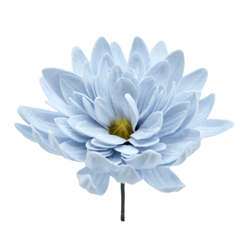 ダリアD-BL1 セルリアンブルー(15輪入りor25輪入り)