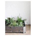 raised bed／black