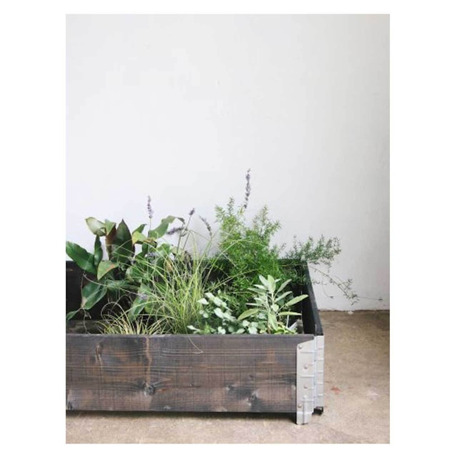 raised bed／black