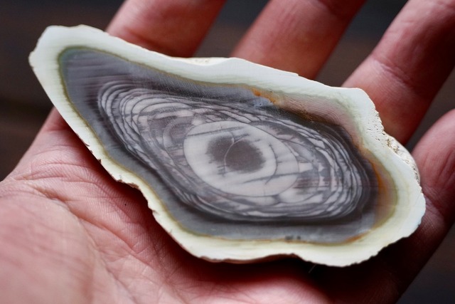 ロイヤルインペリアルジャスパー　Royal Imperial Jasper 20