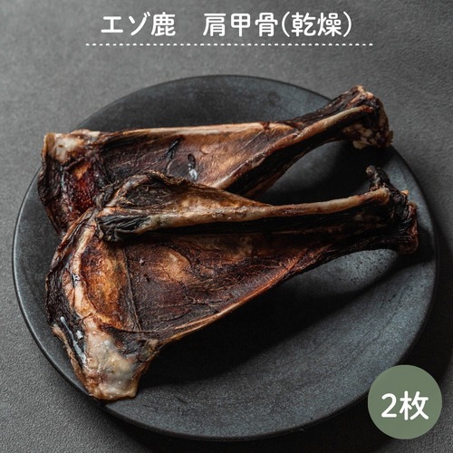 エゾ鹿肩甲骨（乾燥）2本