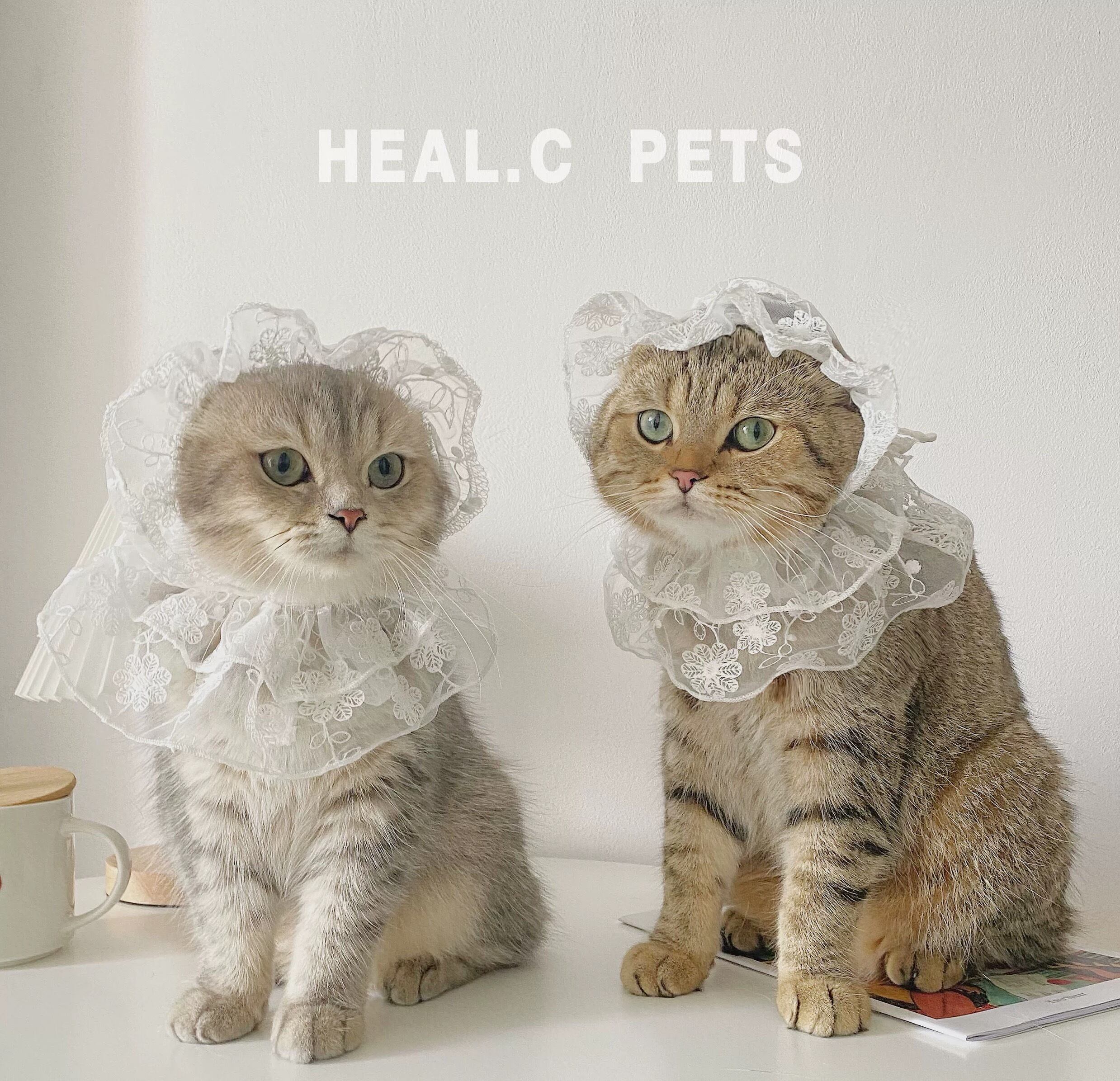 ホワイトレースボンネット 猫 帽子 | nyanpets 猫グッズ専門店