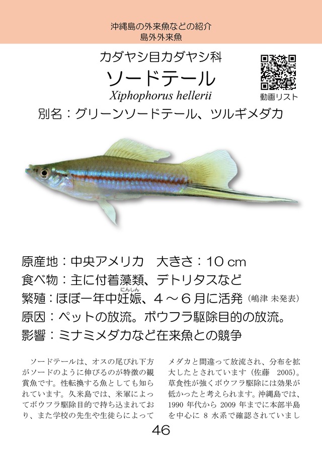 新版紙書籍 沖縄島の外来魚ガイド第三版 しまづ外来魚研究所オンラインショップ