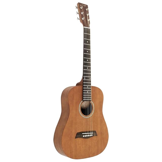 クラシックギター/ガットギター用ナチュリバーブnatu-reverb CG-1n クラシックギター用 natu-reverb CG-1 