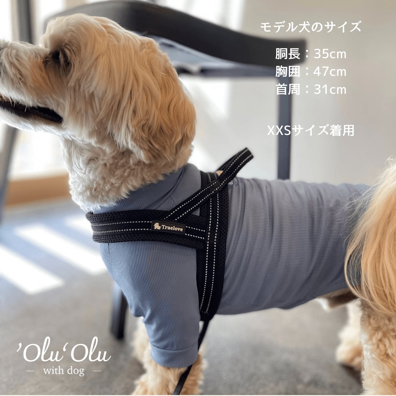 cocomall 負担軽減犬用ハーネス 犬用胴輪 ドッグ ペット用品 お出かけ