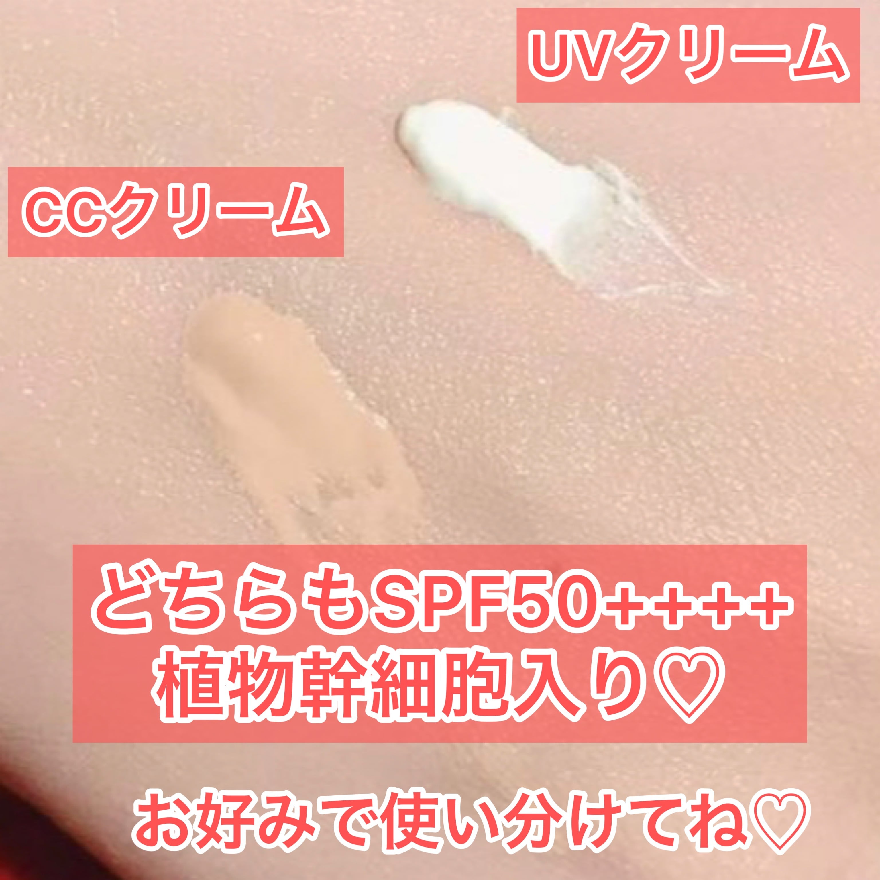 Cellpure化粧品 - Cellpure化粧品 added a new photo at