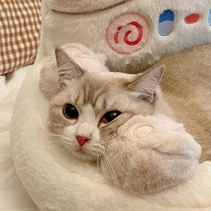 【PET】ネコ抱きしめ形ふわふわベッド