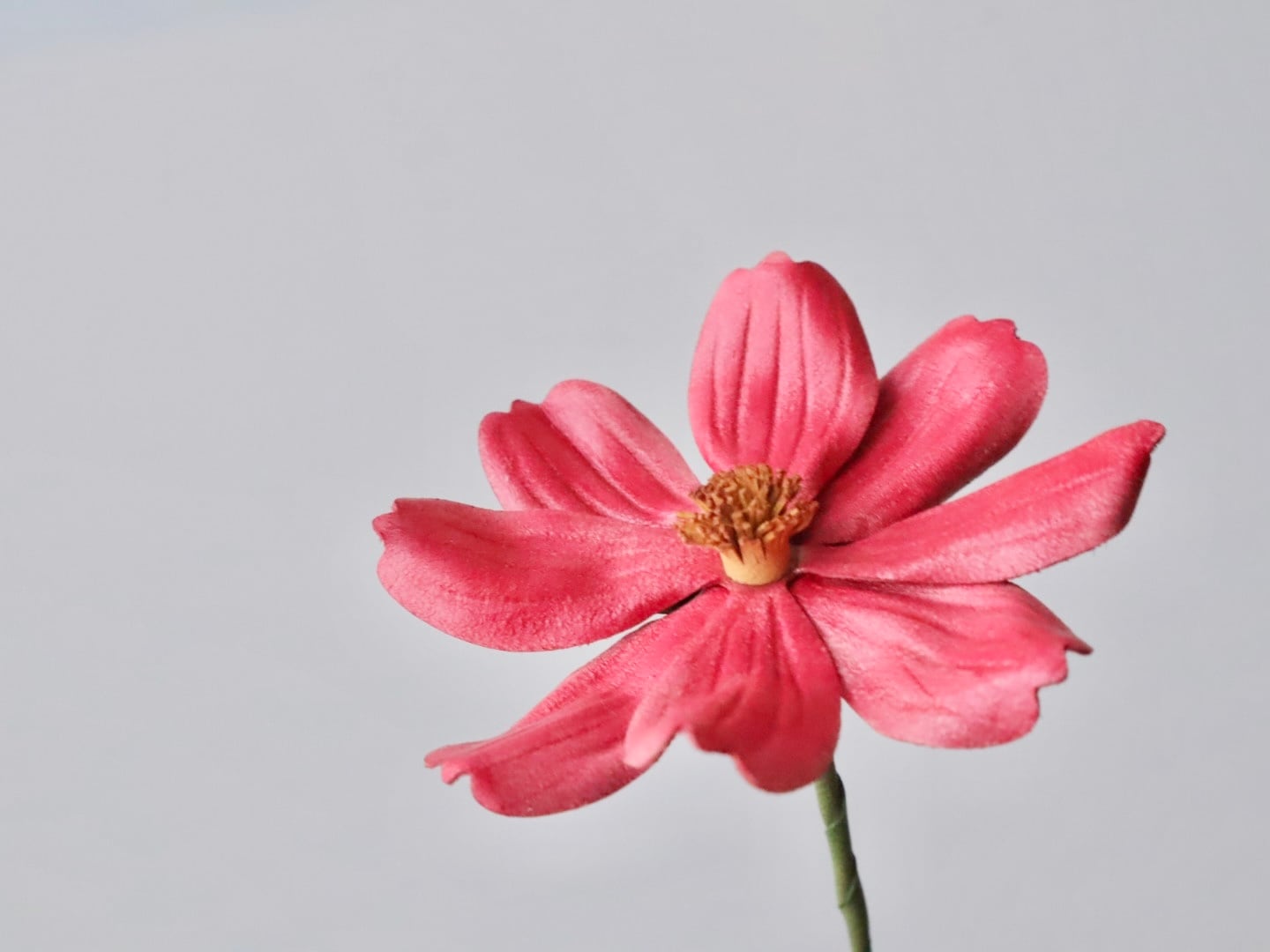 革花型紙】秋桜（コスモス）セット（花弁＋ガク）｜レザーフラワー専用