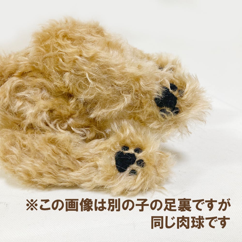 手作りキット】ミニチュアダックスフンド(黒&茶 手作りキット】ミニチュアダックスフンド(黒&茶