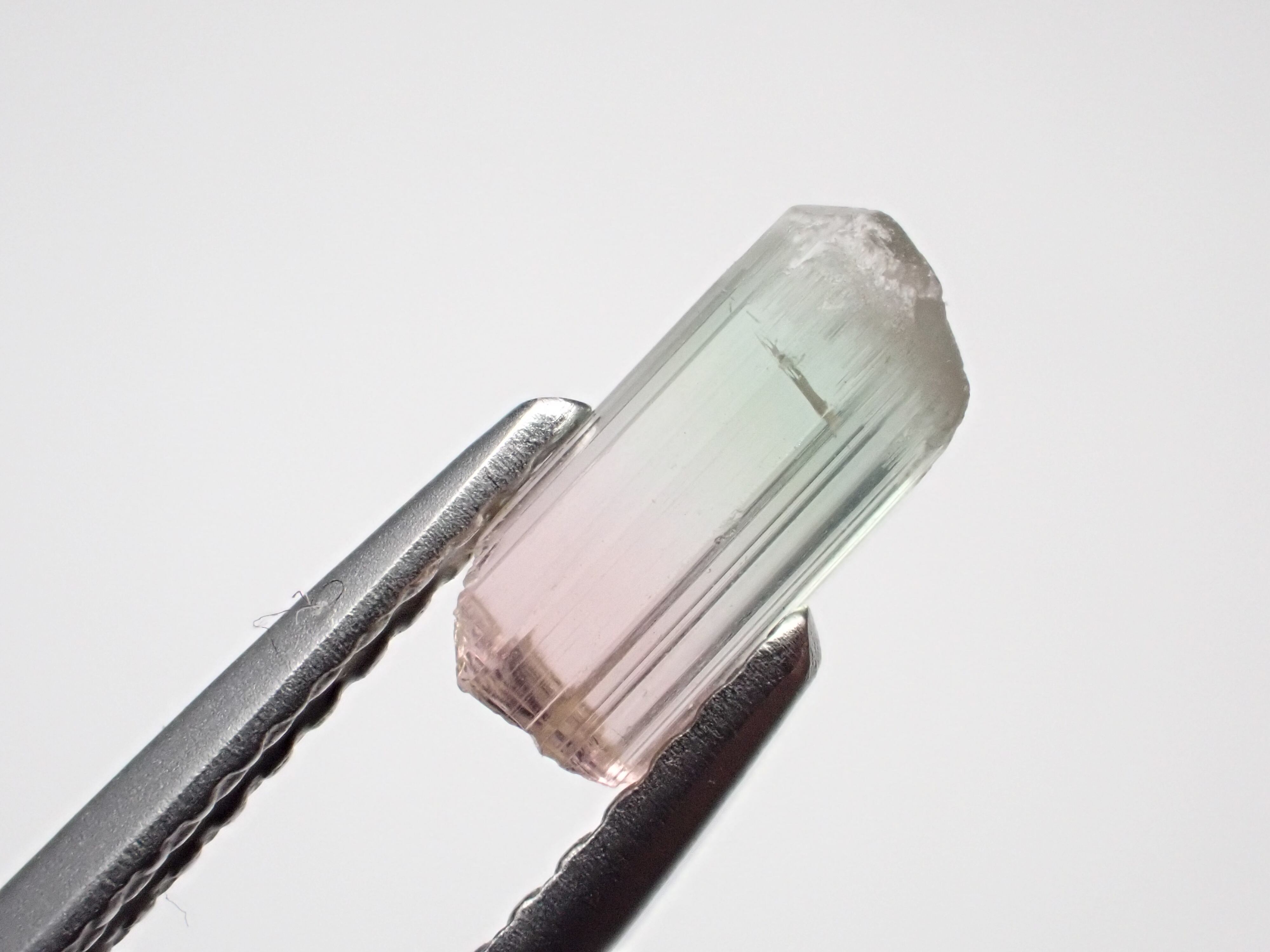 エルバイトトルマリン 結晶原石 パキスタン R7-1632 | MineralQuest