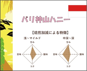 【200g】バリ神山ハニー