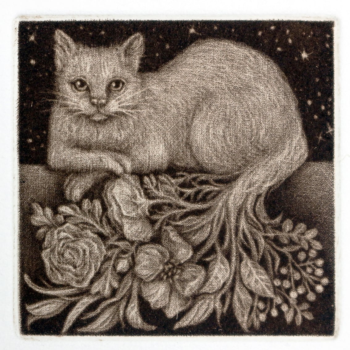 林 明日美 / 「花束をあげる -夜の猫-」/ 銅版画・メゾチント / 額装込み | GALLERY NENOHOSHI DAIKANYAMA  powered by BASE