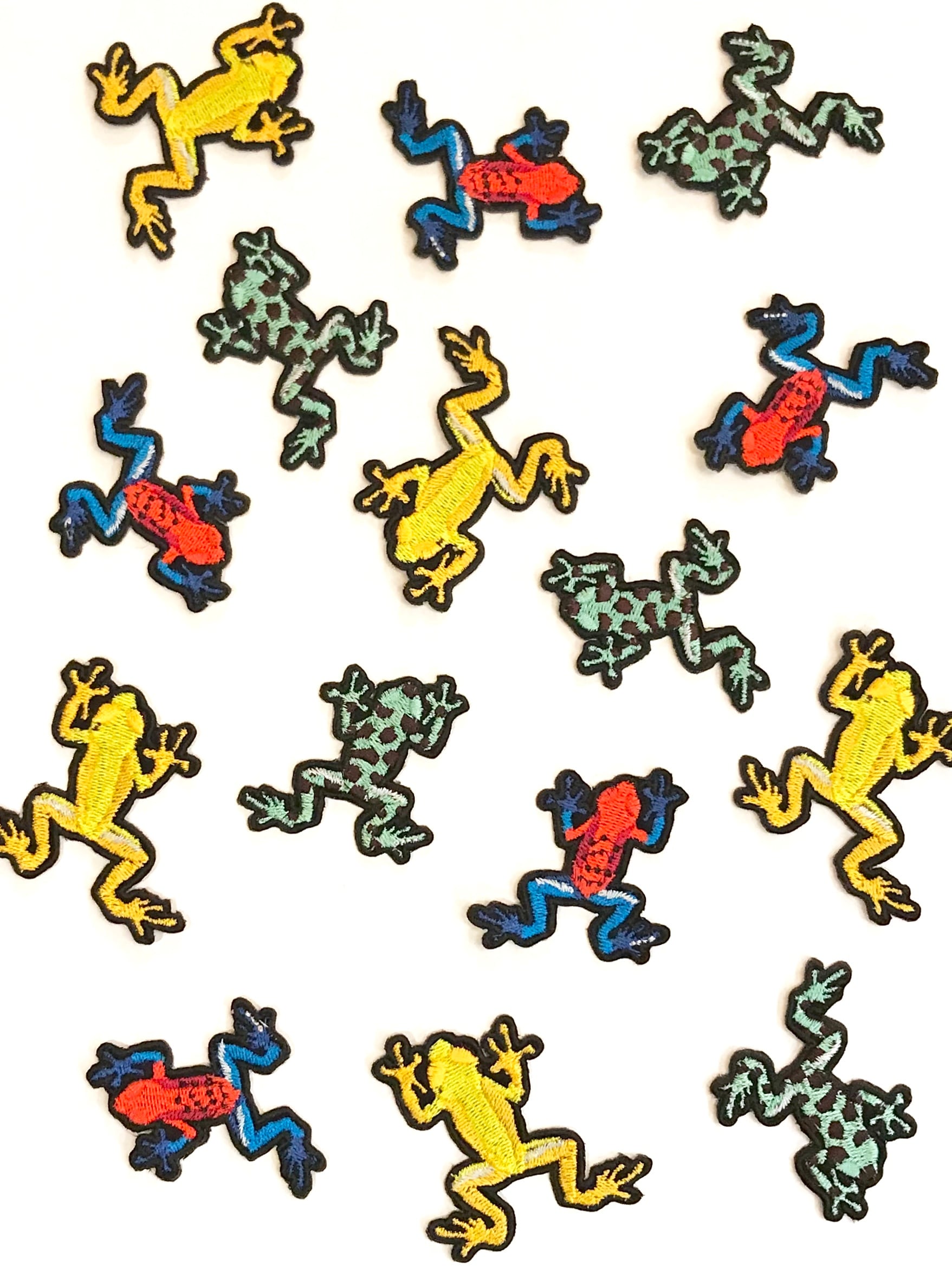 イチゴヤドクガエル ブルージーン 3匹セット①