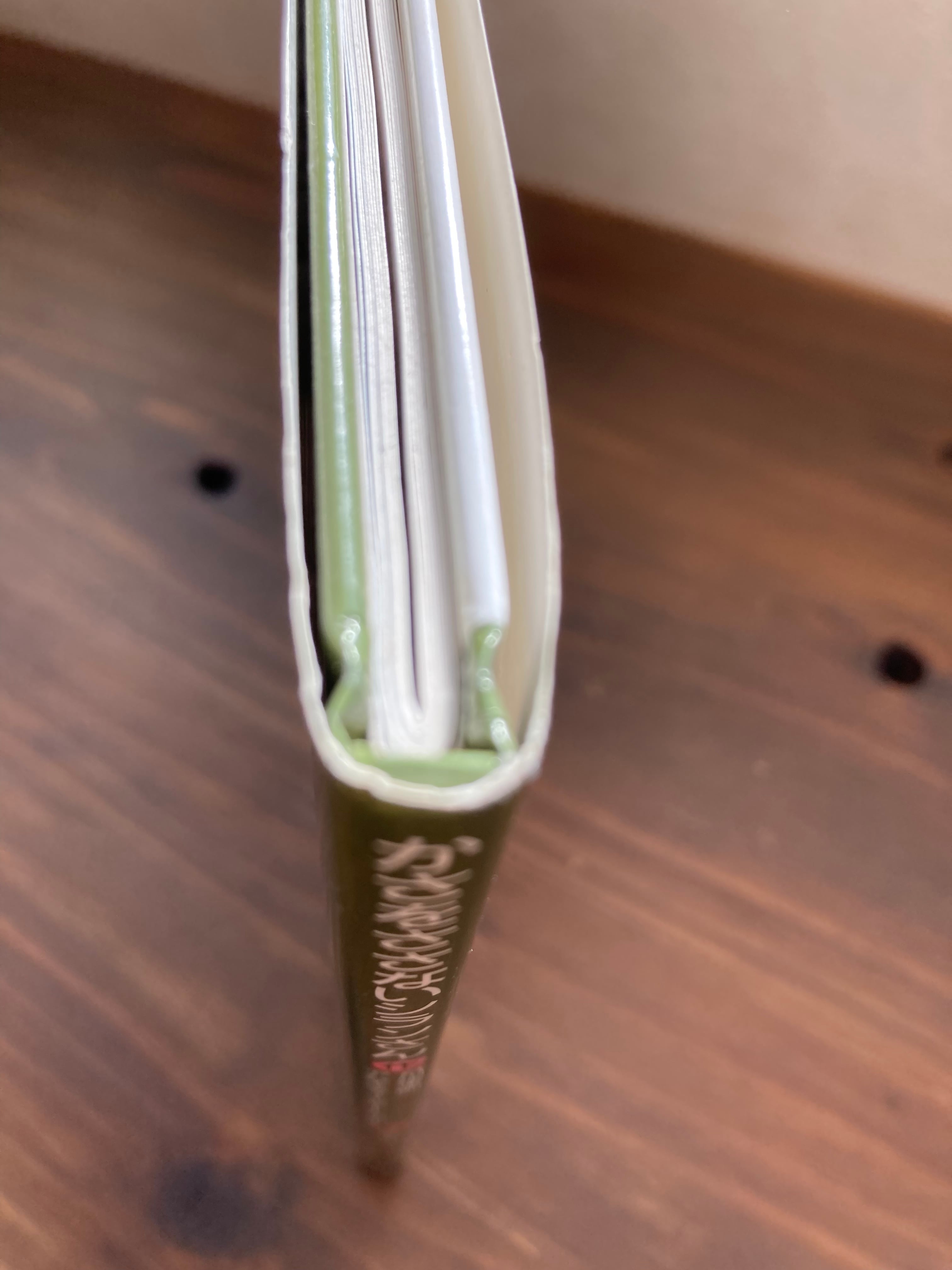 かさをささないシランさん