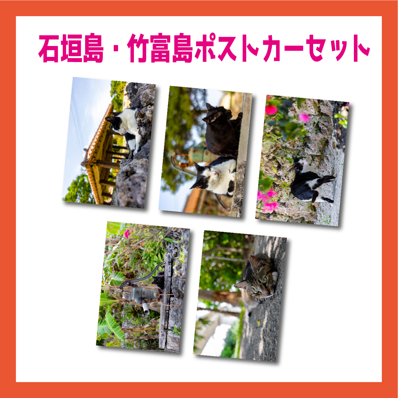 石垣島・竹富島 ポストカードセット | PunittoStore