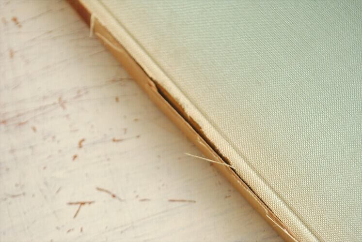 フランス語 洋書3冊セット 古い洋書 ディスプレイ 古書