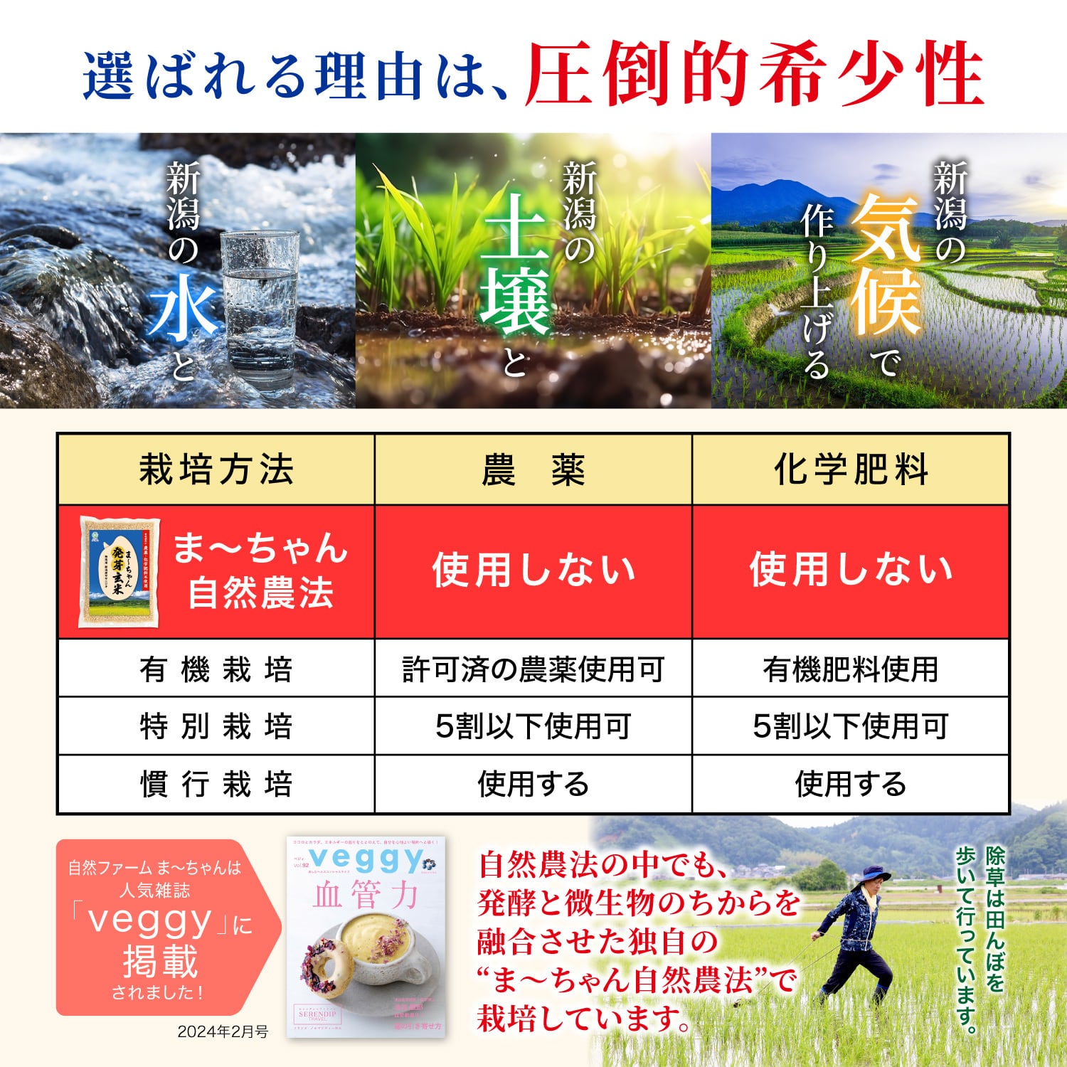 ま〜ちゃん発芽玄米【自然農法 ササニシキ】無洗米 無農薬 無肥料米