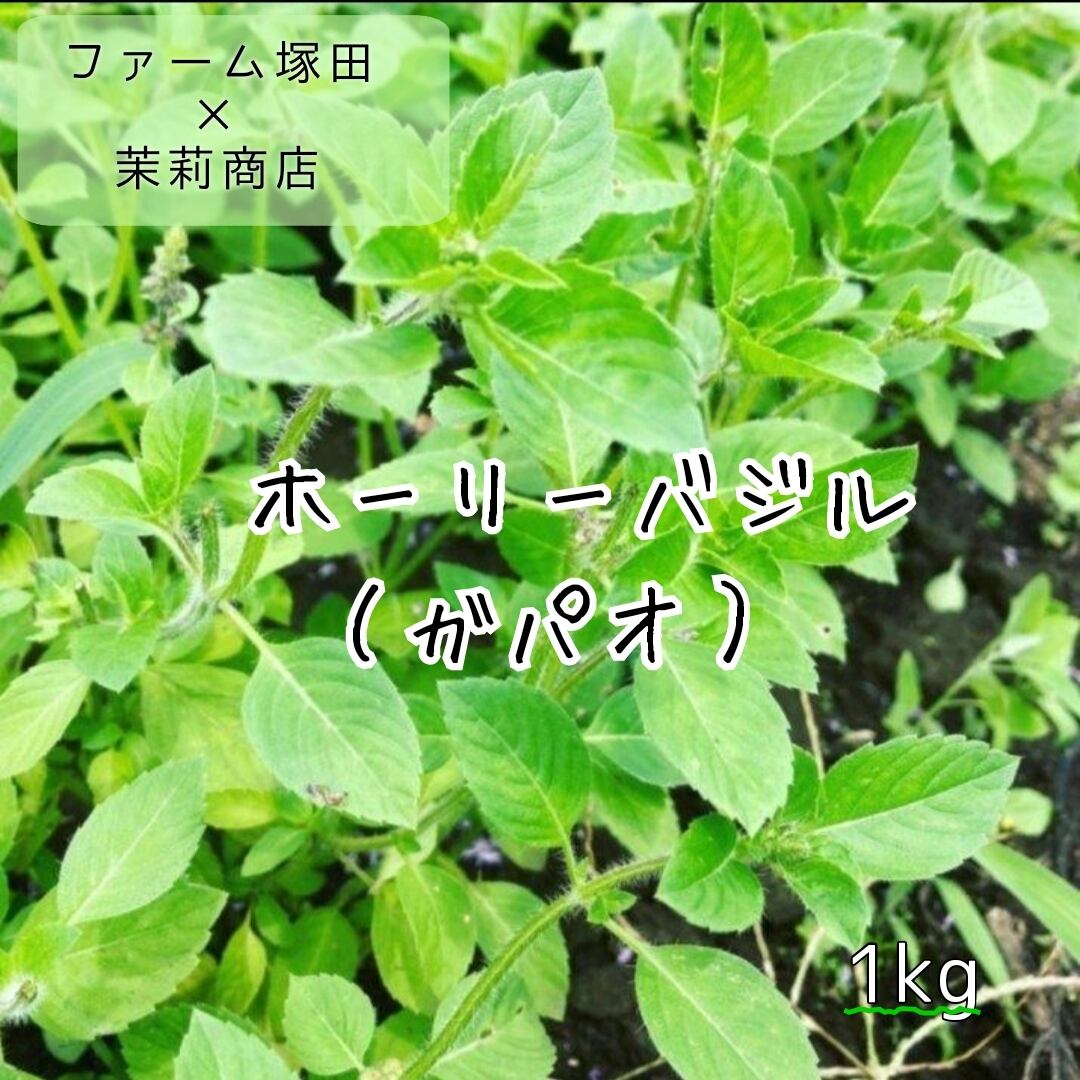 紅ひゆな(红苋菜)5kg 業務用 長野県産 ※送料別 | 茉莉商店