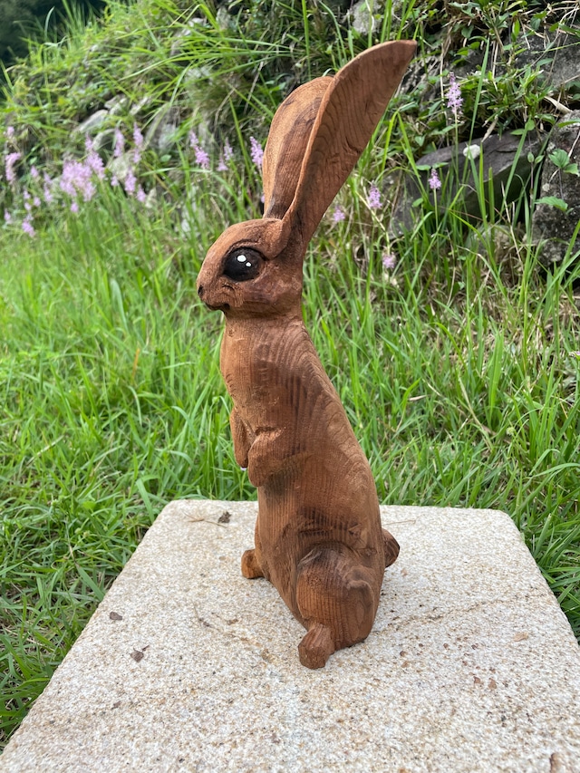 うさぎさん３