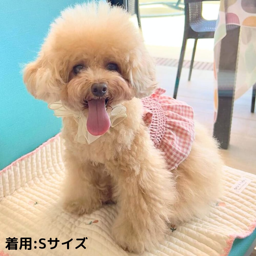 新作　ギンガムチェックデカリボンワンピース　超小型犬さんのみ見本 新作ギンガムチェックデカリボンワンピース超小型犬さんのみ見本