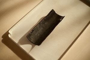 nijiiro / 茶則・黒枯