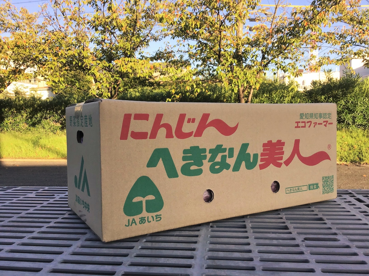 JAあいち中央碧南人参部会｢加工用へきなん美人10kg｣※北海道馬