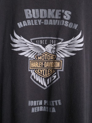 "Harley-Davidson" XXX over silhouette “115 Years of Brotherhood” tee