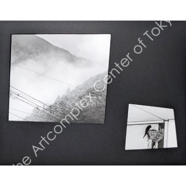 NaNaHa「Unexpected Connections 23」