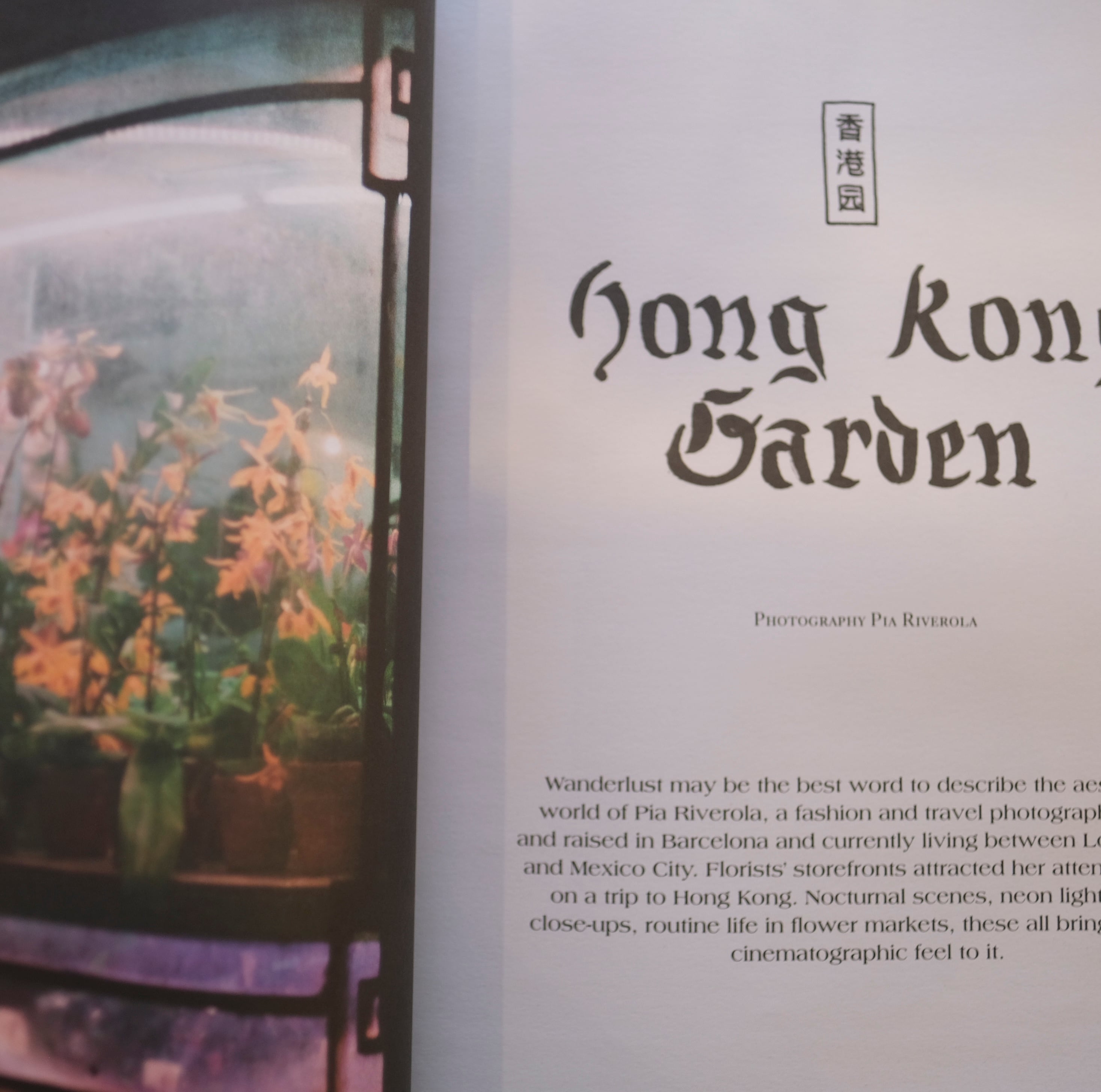 Blumenhaus / Blumenhaus magazine Issue1 | アトリエみちくさ