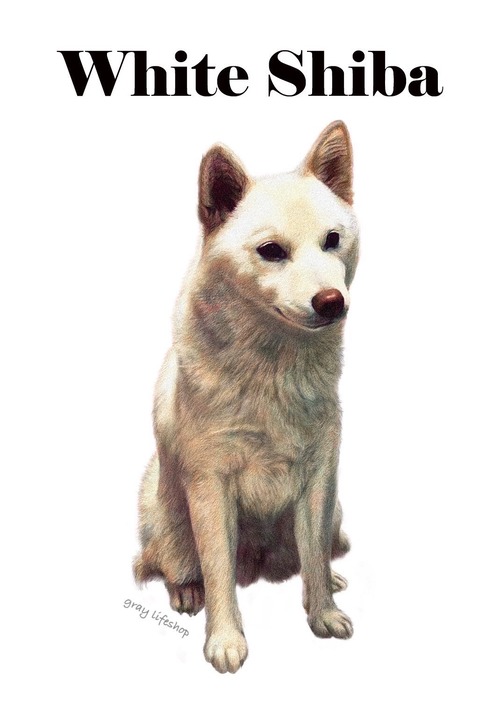 gray original Dog face &breed printed S/S TEE［white Shiba］