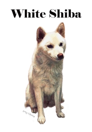 gray original Dog face &breed printed S/S TEE［white Shiba］