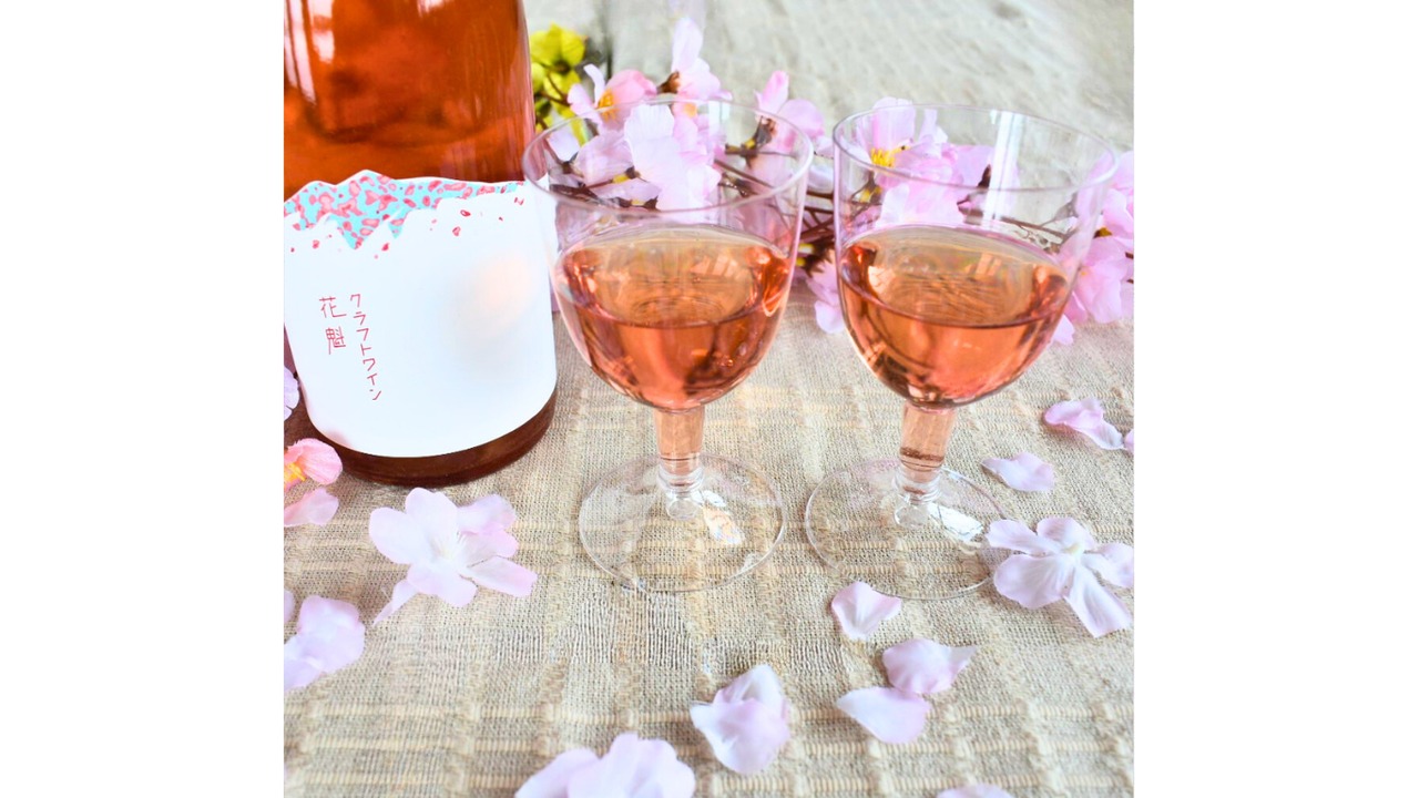 【サクラアワード シルバー受賞!!】 桜✿満喫セット<20セット限定>