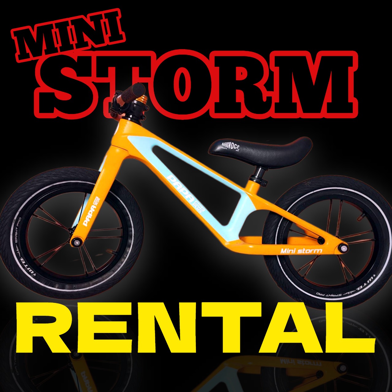 －MINI STORM 試乗車－