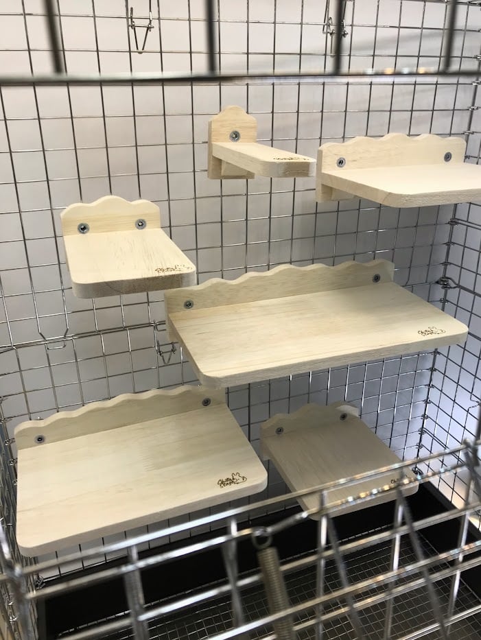 チンチラステップ、ソリ、お店　約37000円 三晃商会]チンチラ・プレーリードッグ・ハリネズミ用超巨大