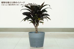 どっしり鉢(4号サイズ)｜抹茶グリーン