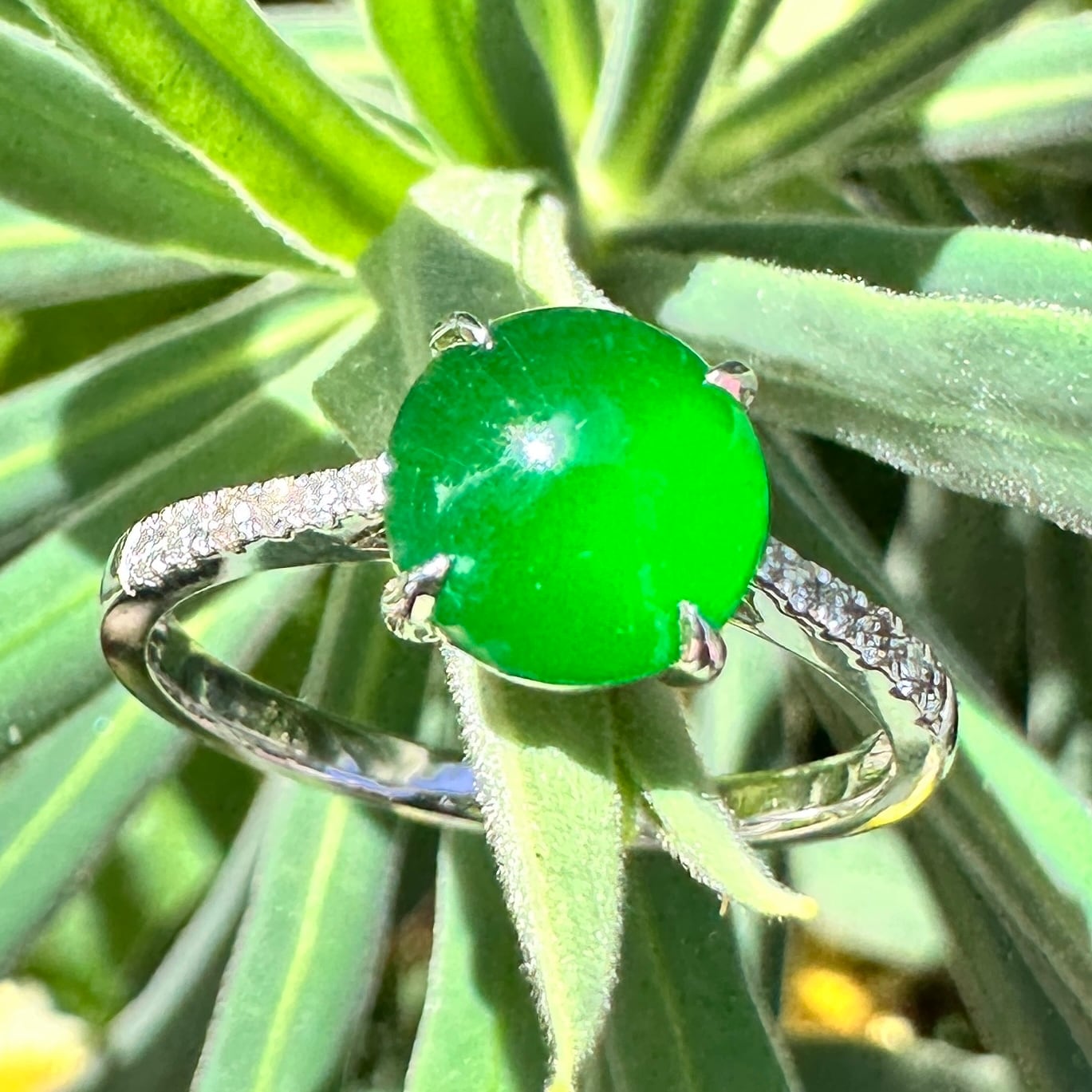 Jade & Diamond WG Ring RC0003 | Victorian Box