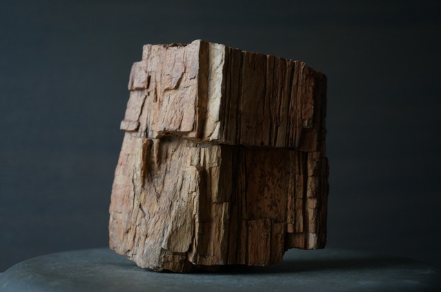 マダガスカル産珪化木 Petrified Wood 2400