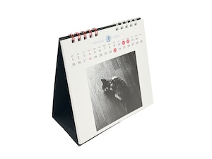 安齋肇　filamK nyau Calendar 2024