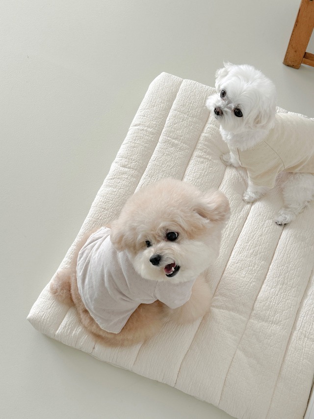 〈予約アイテム〉EYOU  アイレットTシャツ（レモン）