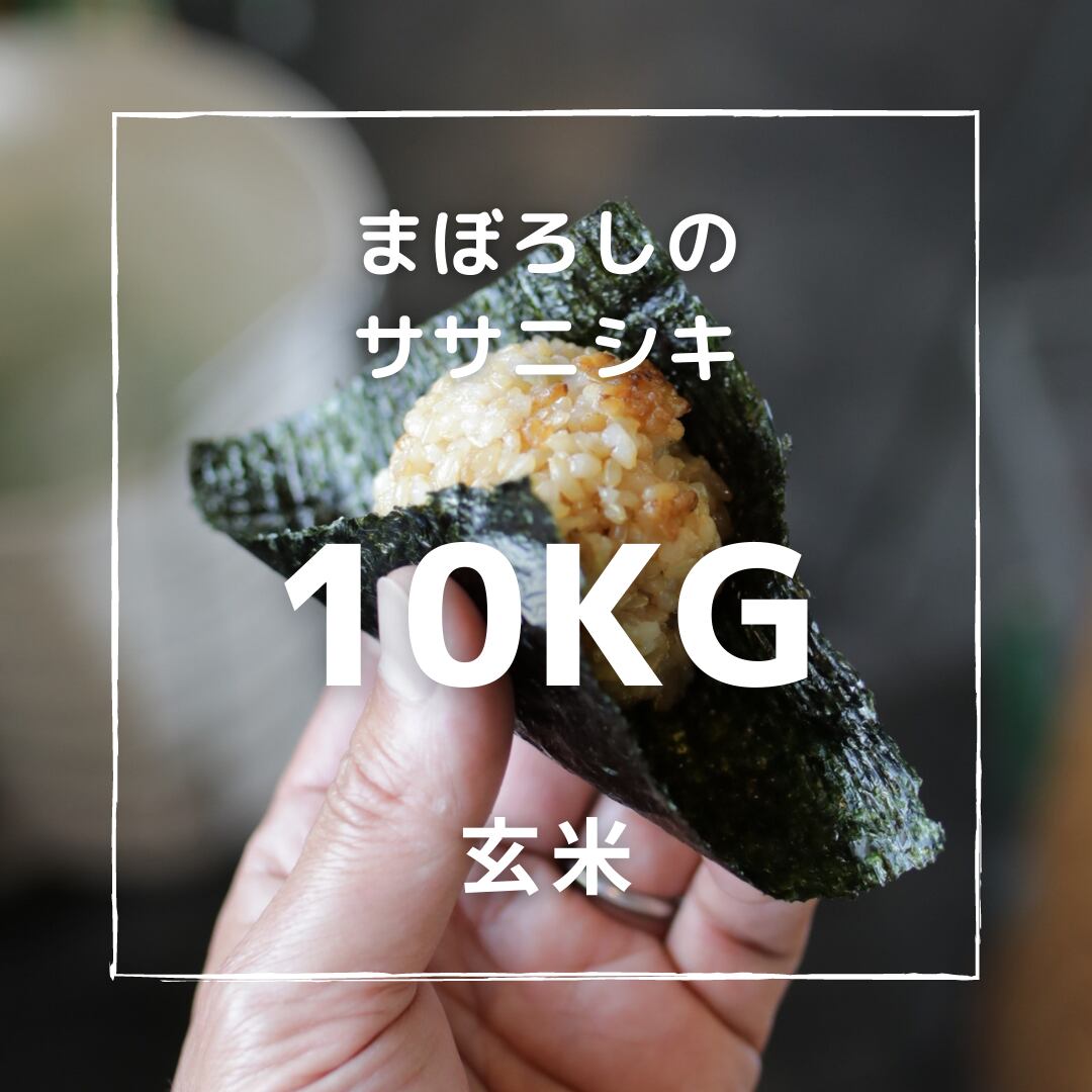 まぼろしのササニシキ 玄米 10kg