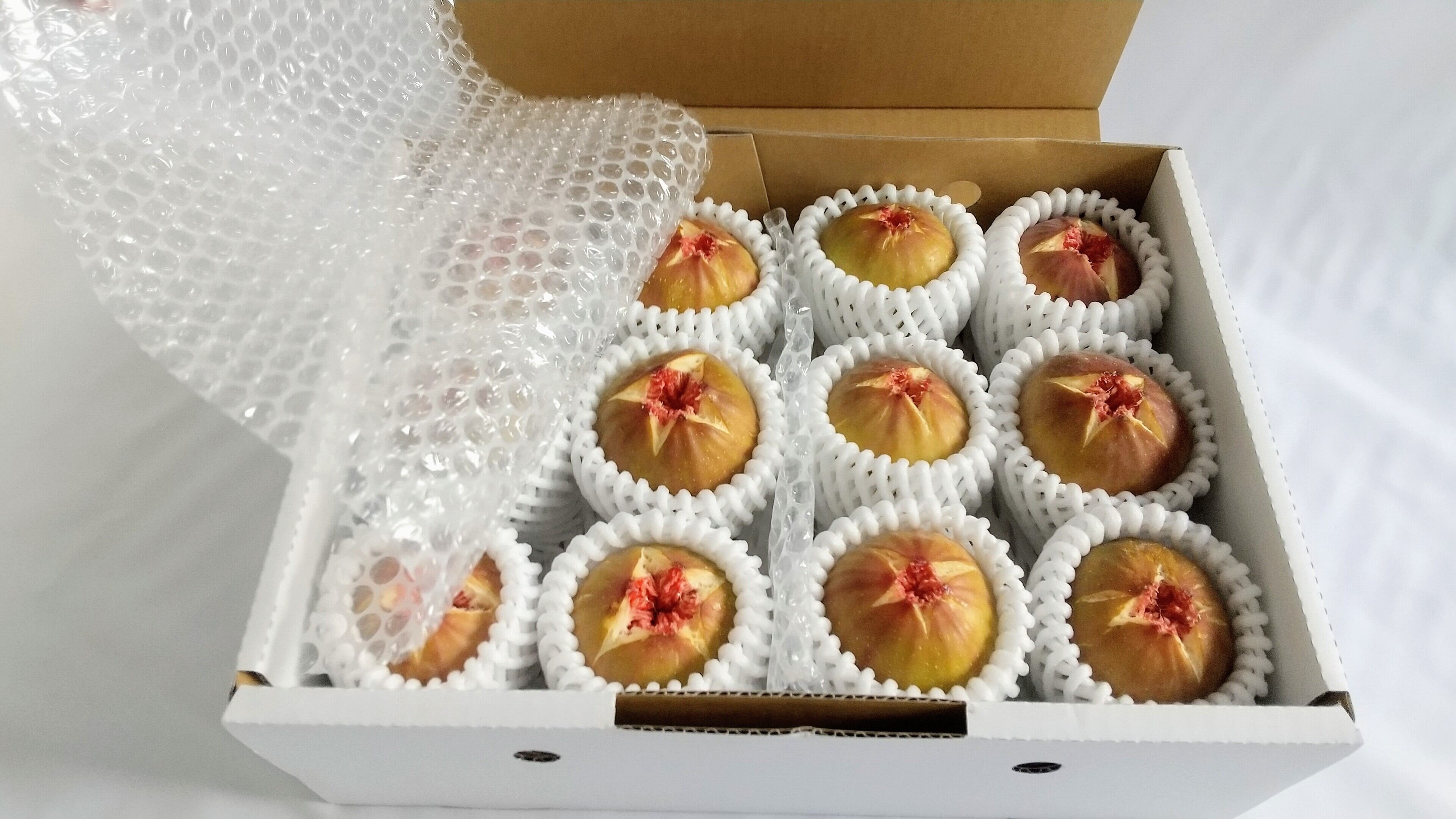 自家栽培・産地直送》甘酸っぱい美味しさ いちじく 蓬莱柿12個入り