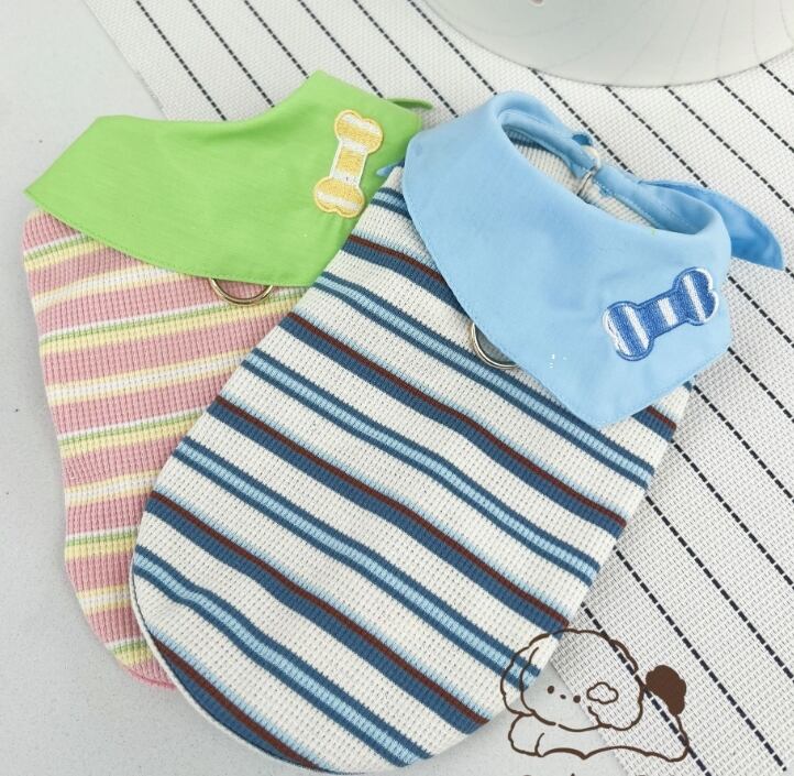 《予約》1103173 ボーダートップス