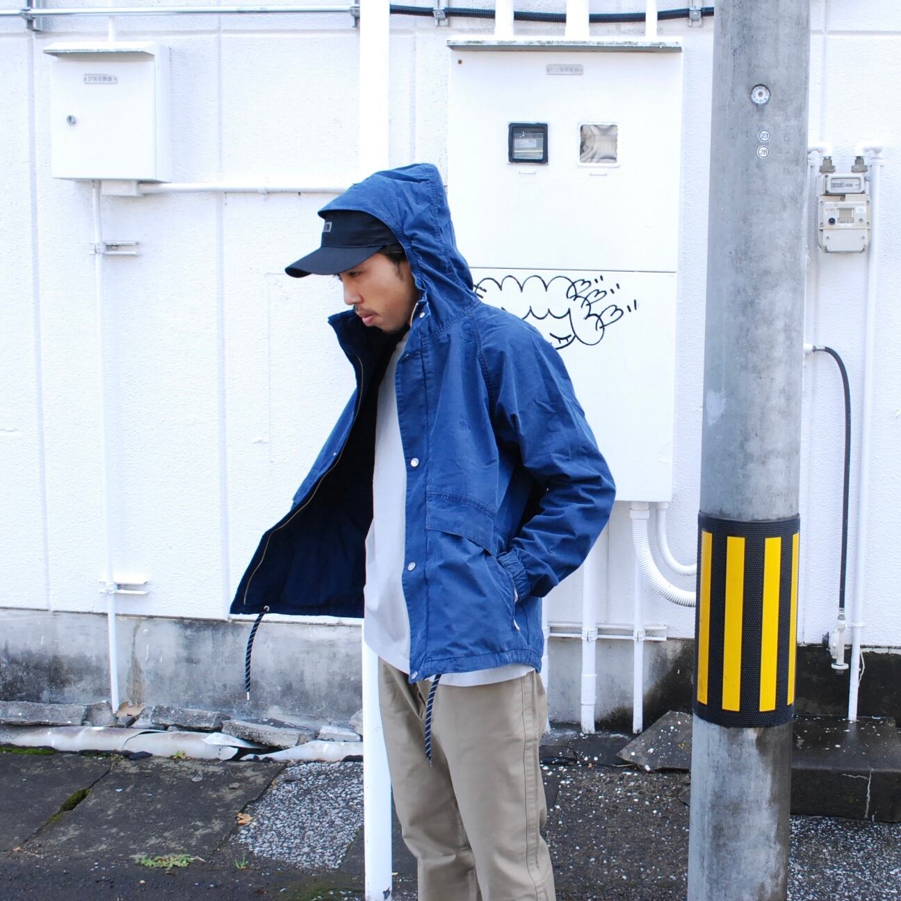 the north face purple label mountain wind parka